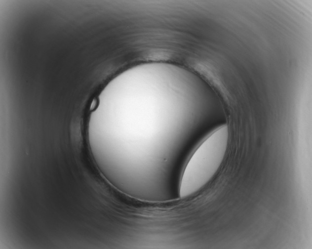 X0000088880300200706080746