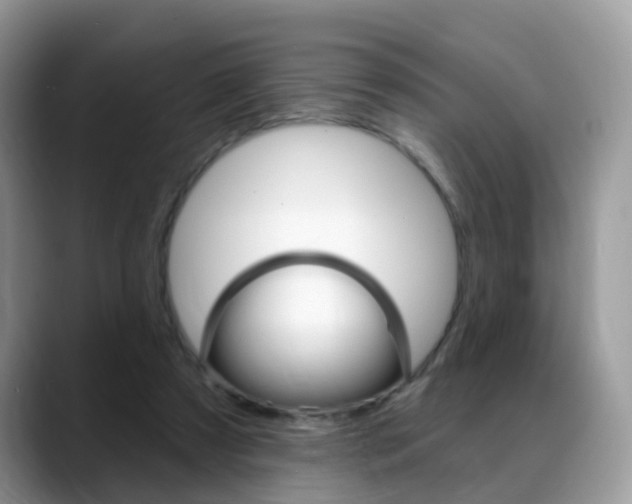 X0000088880305200706080746