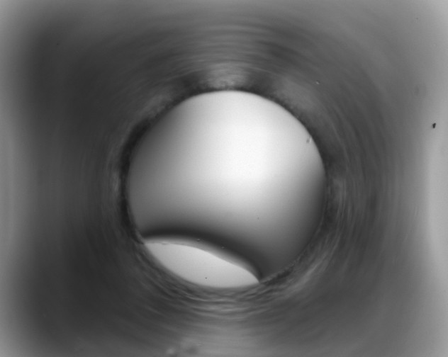 X0000088880308200706080746
