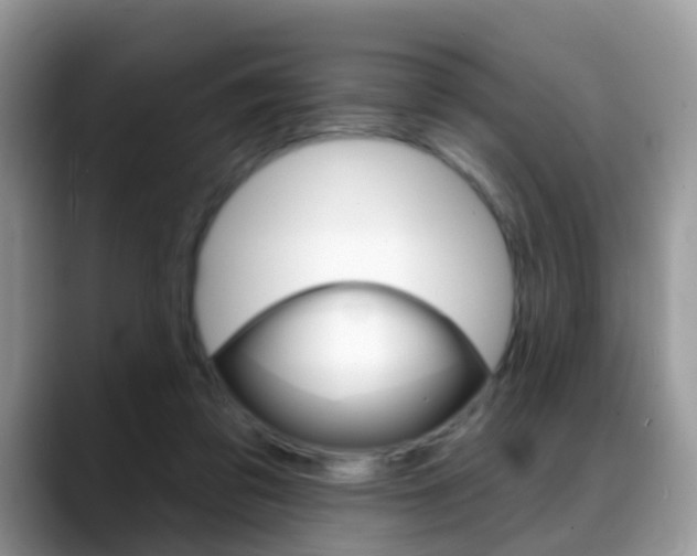 X0000088880309200706080746