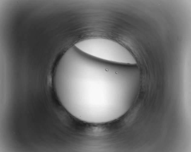 X0000088880310200706080746