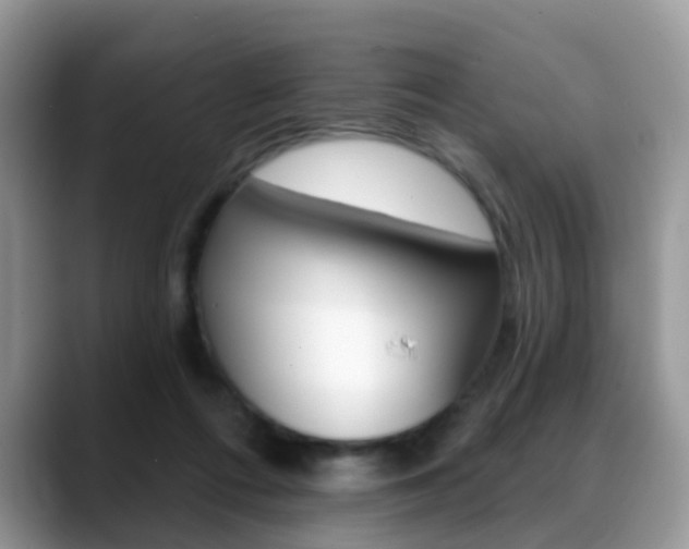X0000088880312200706080746