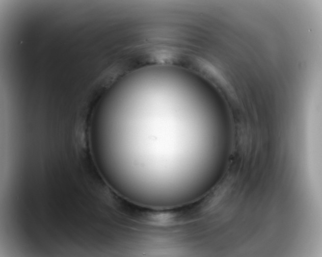 X0000088880313200706080746