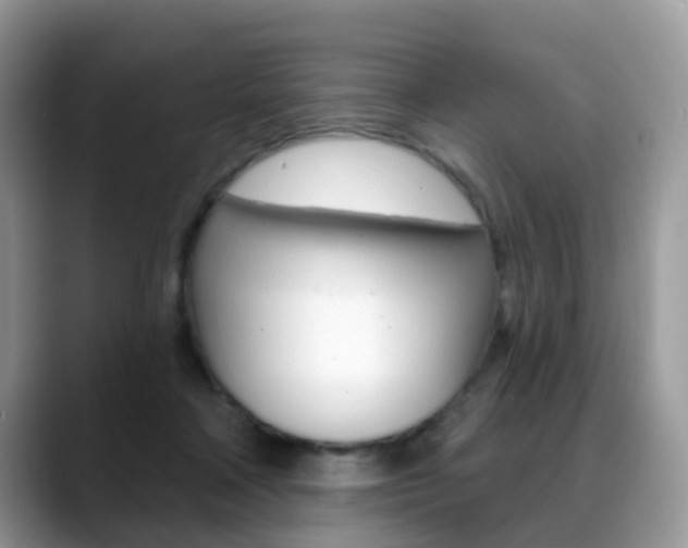 X0000088880314200706080746