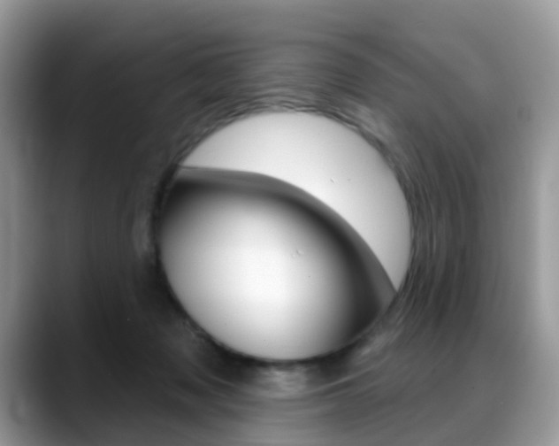 X0000088880317200706080746