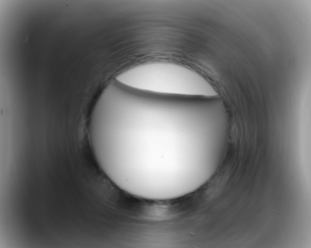 X0000088880318200706080746