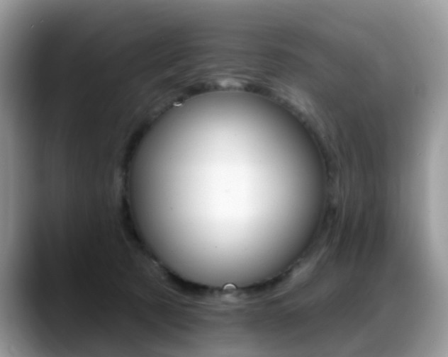 X0000088880321200706080746