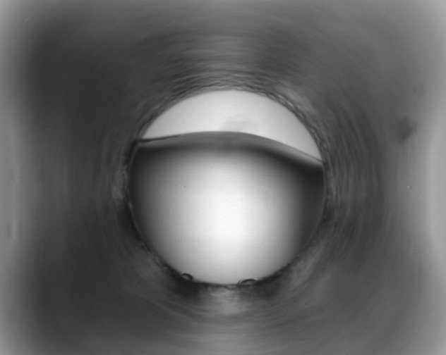 X0000088880325200706080746