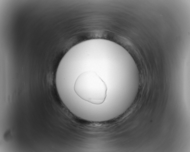 X0000088880326200706080746