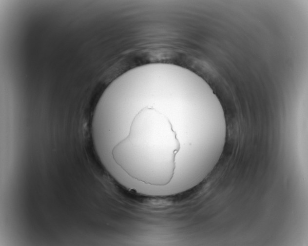 X0000088880327200706080746