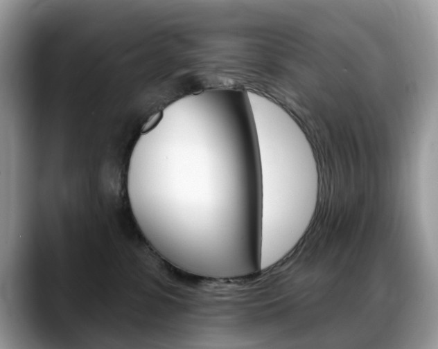 X0000088880331200706080746