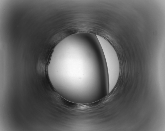 X0000088880333200706080746