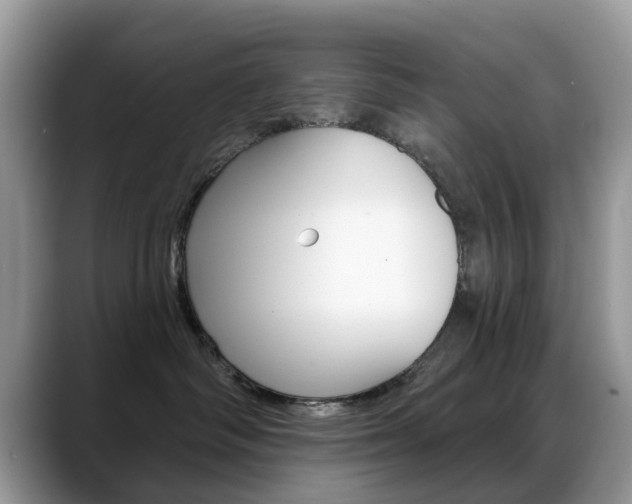 X0000088880334200706080746