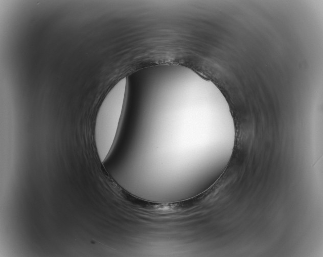 X0000088880335200706080746