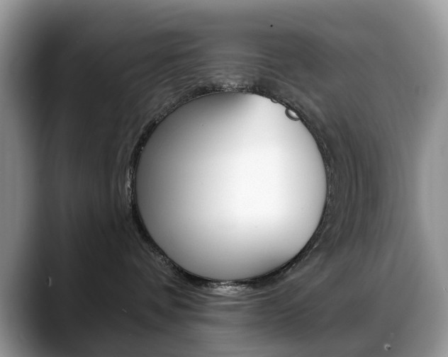 X0000088880336200706080746