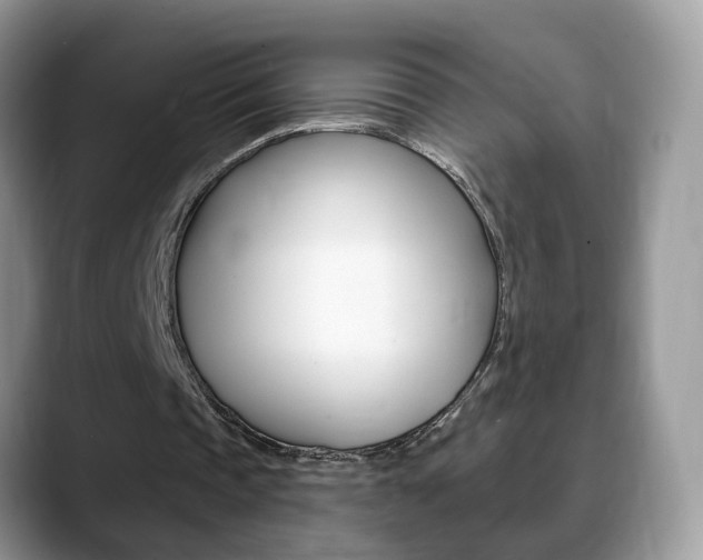 X0000088880337200706080745
