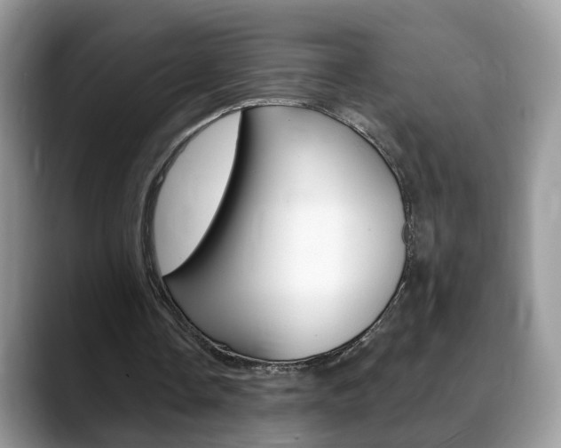 X0000088880338200706080745
