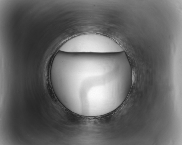 X0000088880339200706080745
