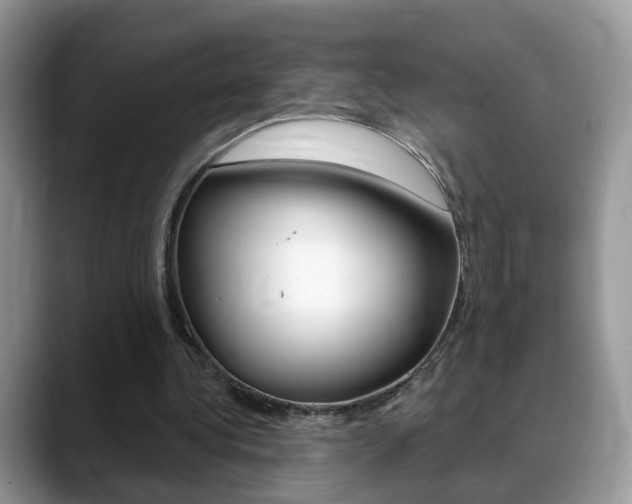 X0000088880340200706080745