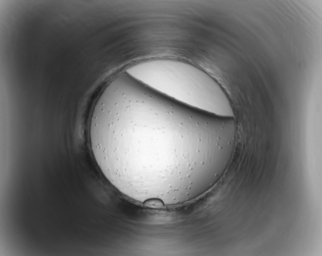 X0000088880347200706080745