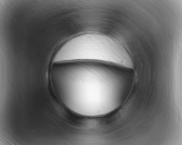 X0000088880349200706080745