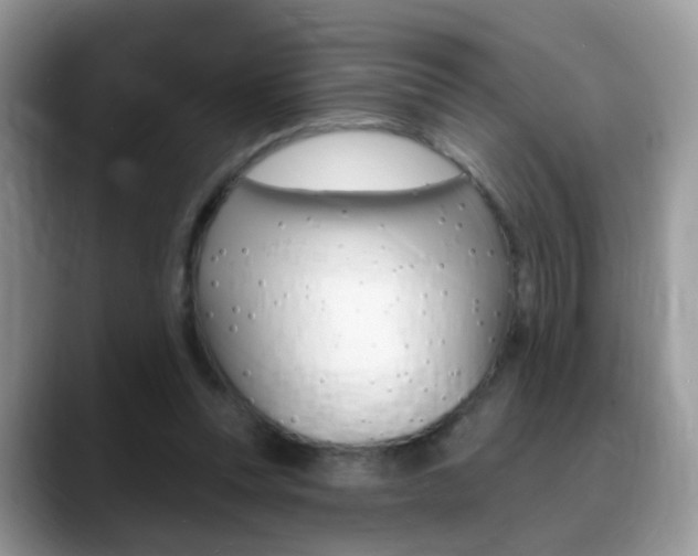 X0000088880351200706080745