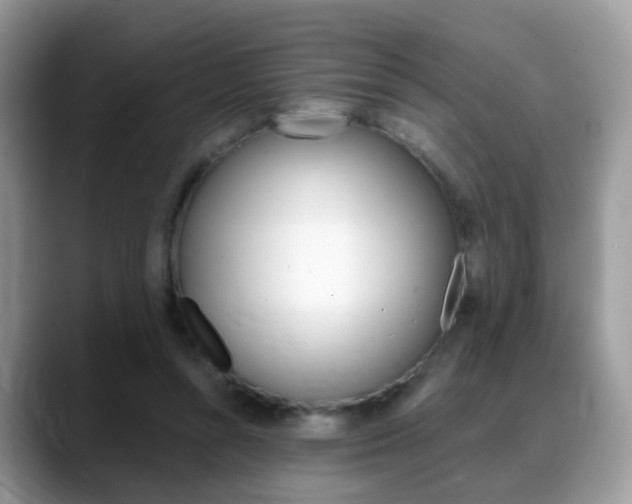 X0000088880352200706080745