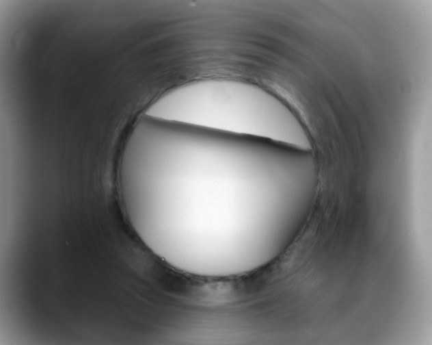 X0000088880353200706080745