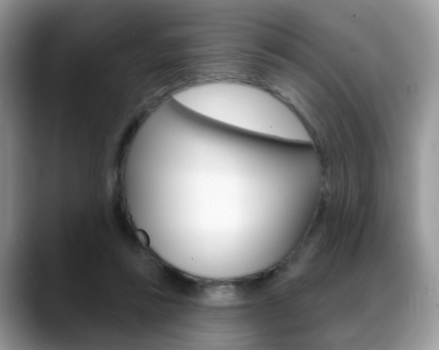 X0000088880355200706080745