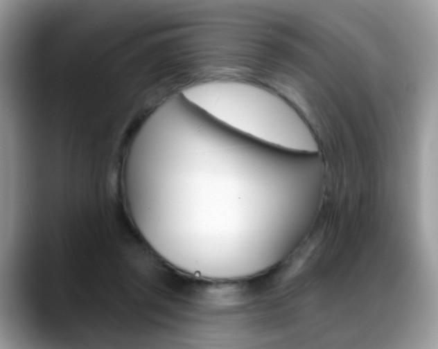 X0000088880357200706080745