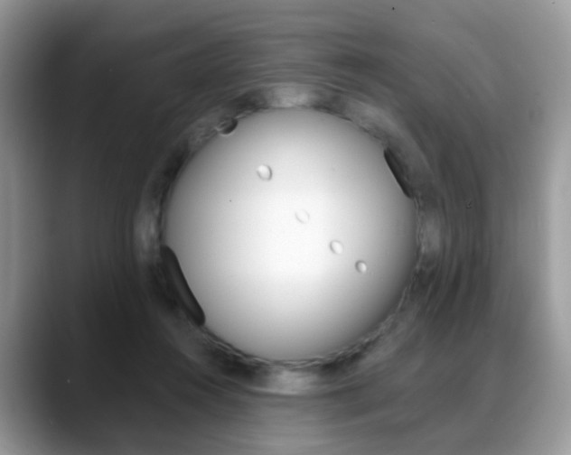 X0000088880360200706080745