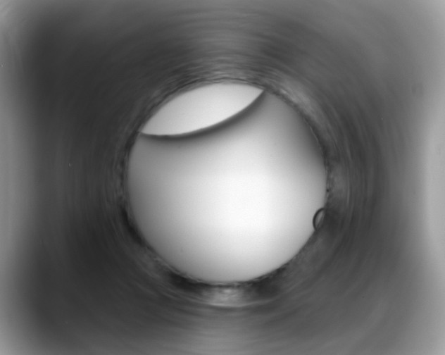 X0000088880361200706080746