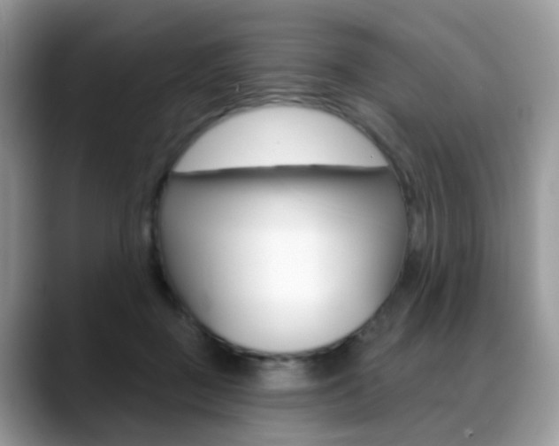 X0000088880363200706080746