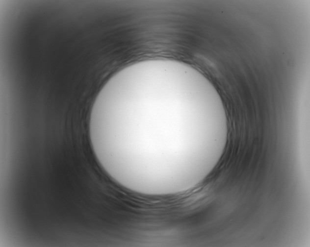 X0000088880364200706080746