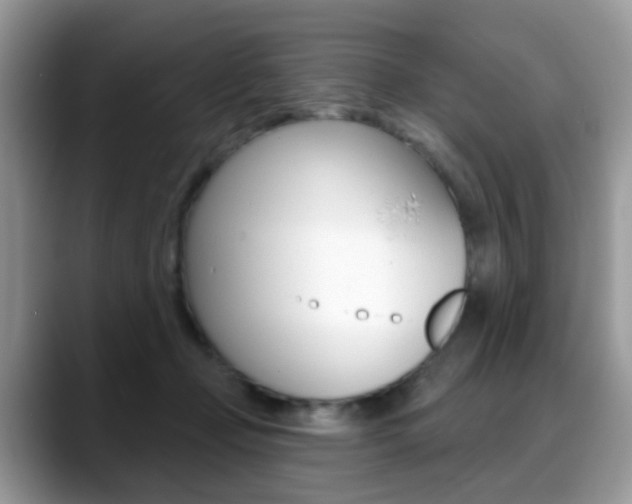 X0000088880365200706080746