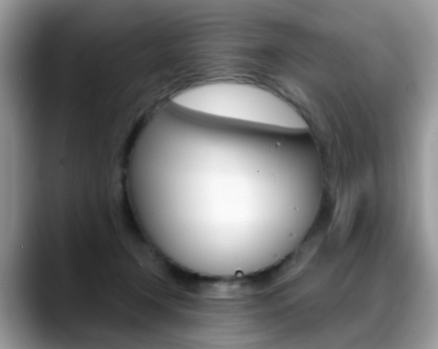 X0000088880366200706080746