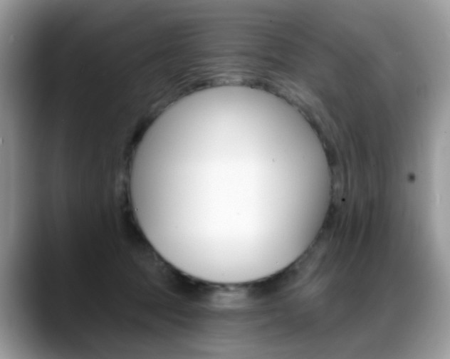 X0000088880369200706080746