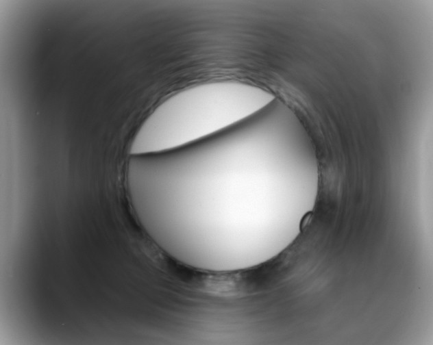 X0000088880373200706080746