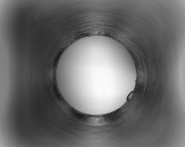 X0000088880375200706080746