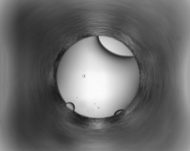 X0000088880377200706080746