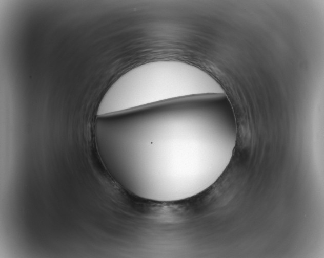 X0000088880379200706080746