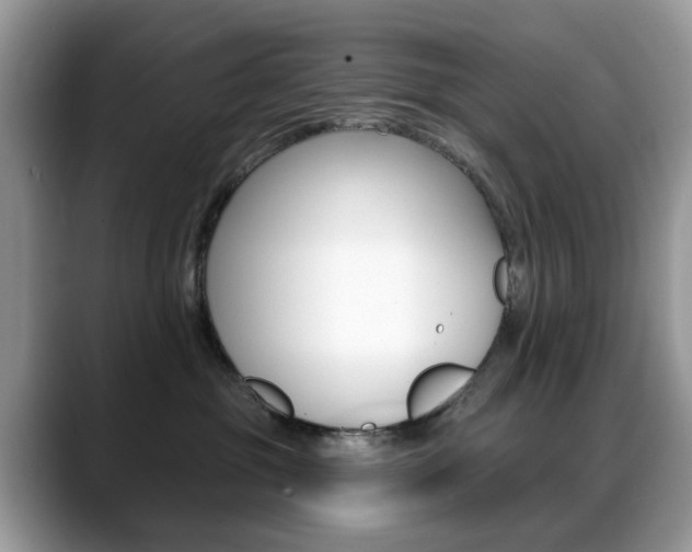 X0000088880381200706080746