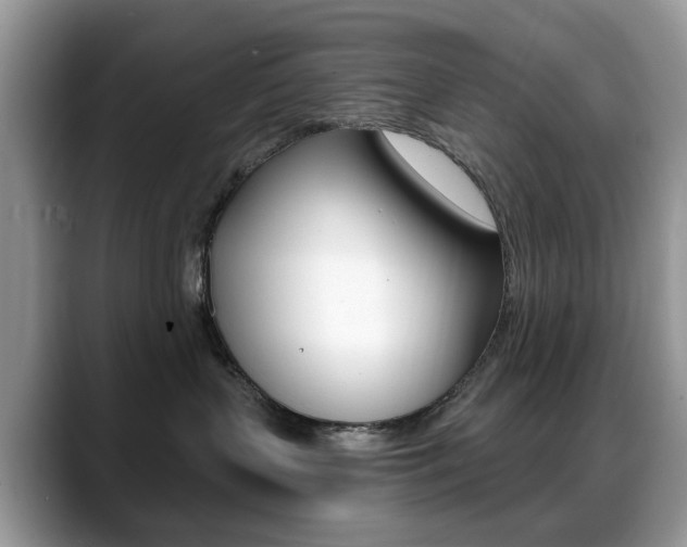 X0000088880383200706080746