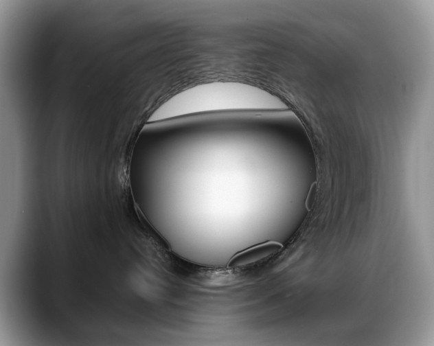 X0000088880384200706080746