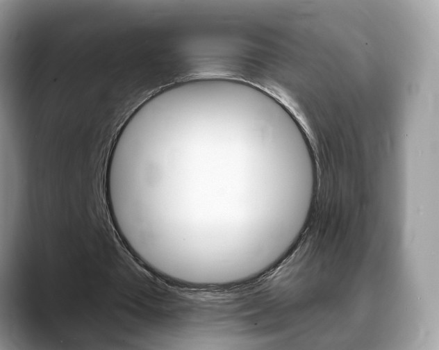 X0000088880385200706080745
