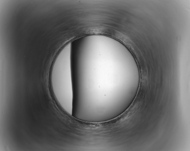 X0000088880386200706080745