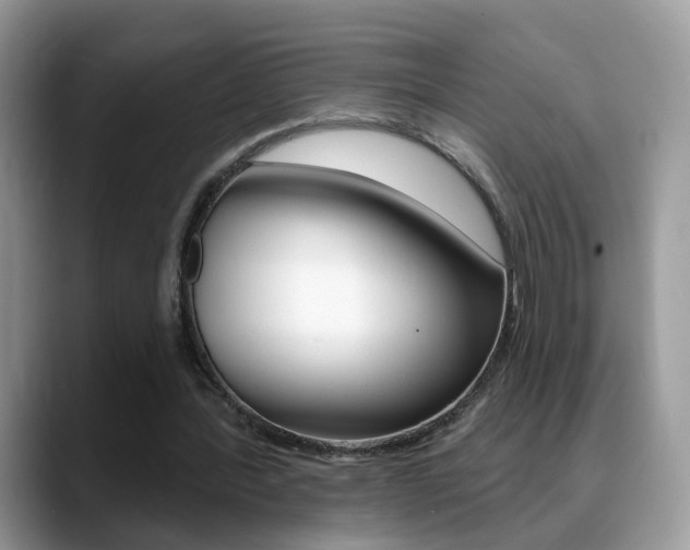 X0000088880388200706080745