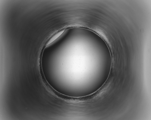 X0000088880389200706080745