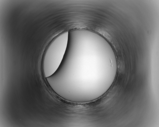 X0000088880390200706080745