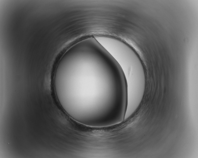 X0000088880391200706080745